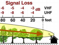 ground clutter